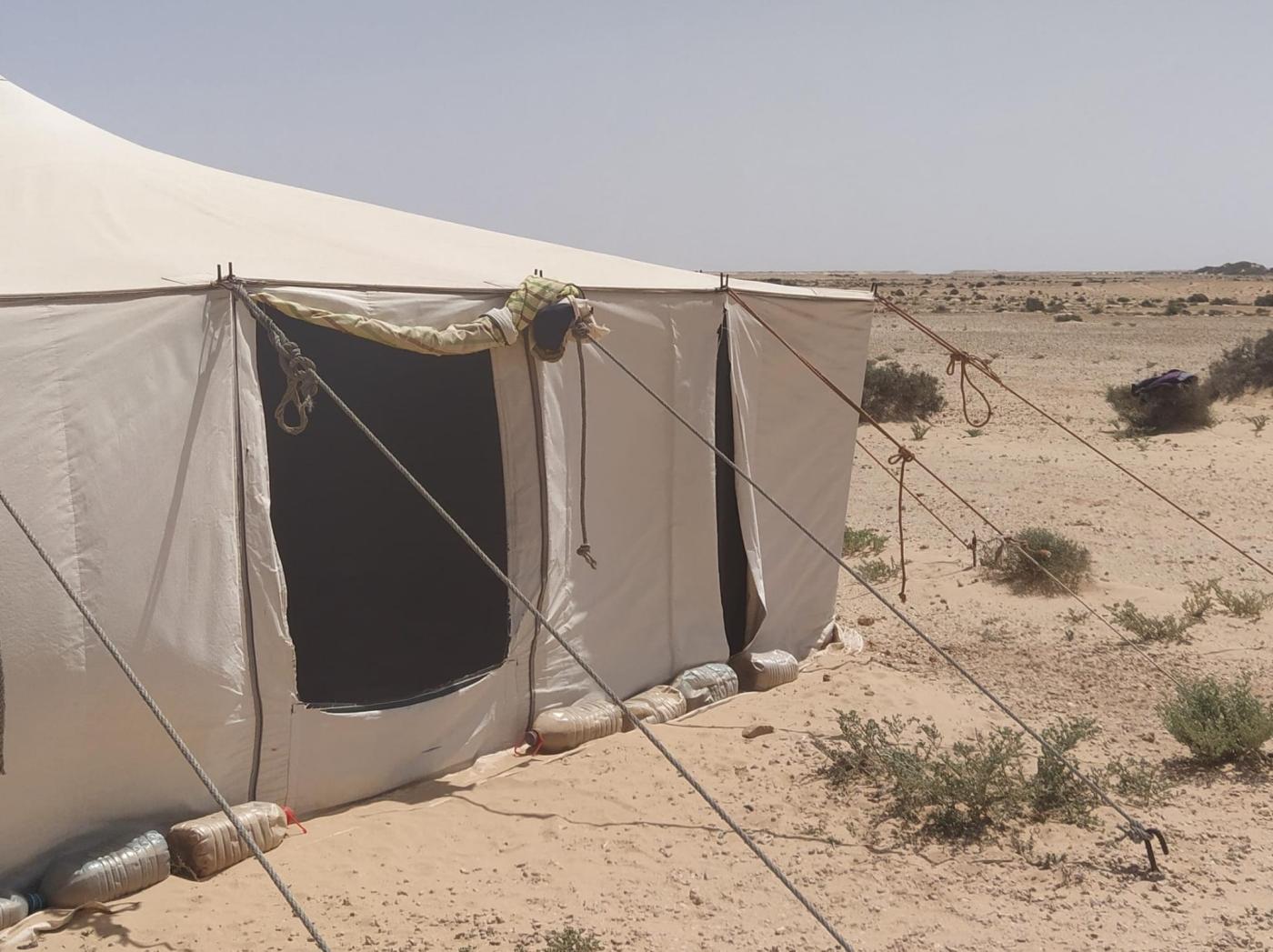 Día 12. Atención médica y menores migrantes no acompañados