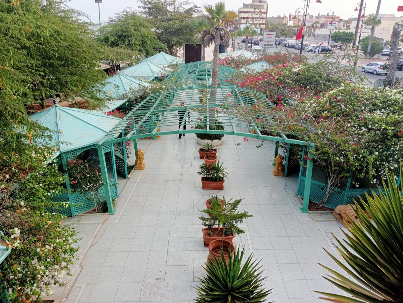 «Una experiencia que superó nuestras expectativas, nos tocó el corazón y nos llenó de gozo»