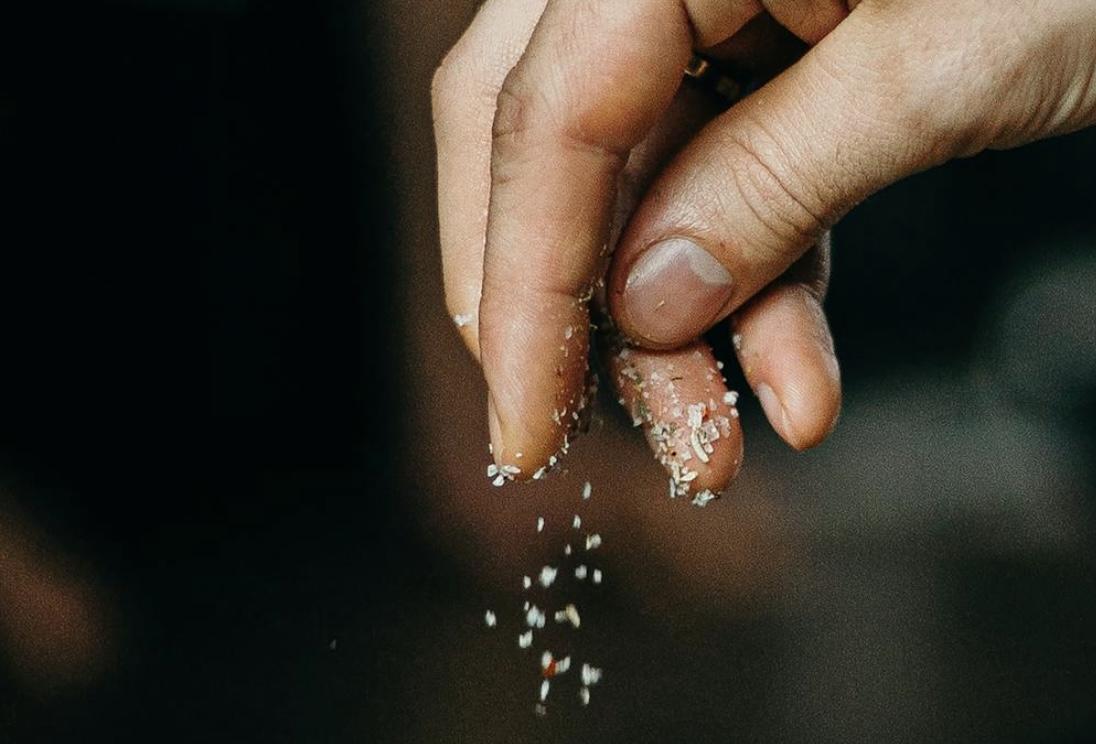 Comentario en texto al Evangelio, del sacerdote Rafael Pérez Pallarés