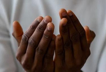 Comentario en texto al Evangelio del sacerdote Rafael Pérez Pallarés