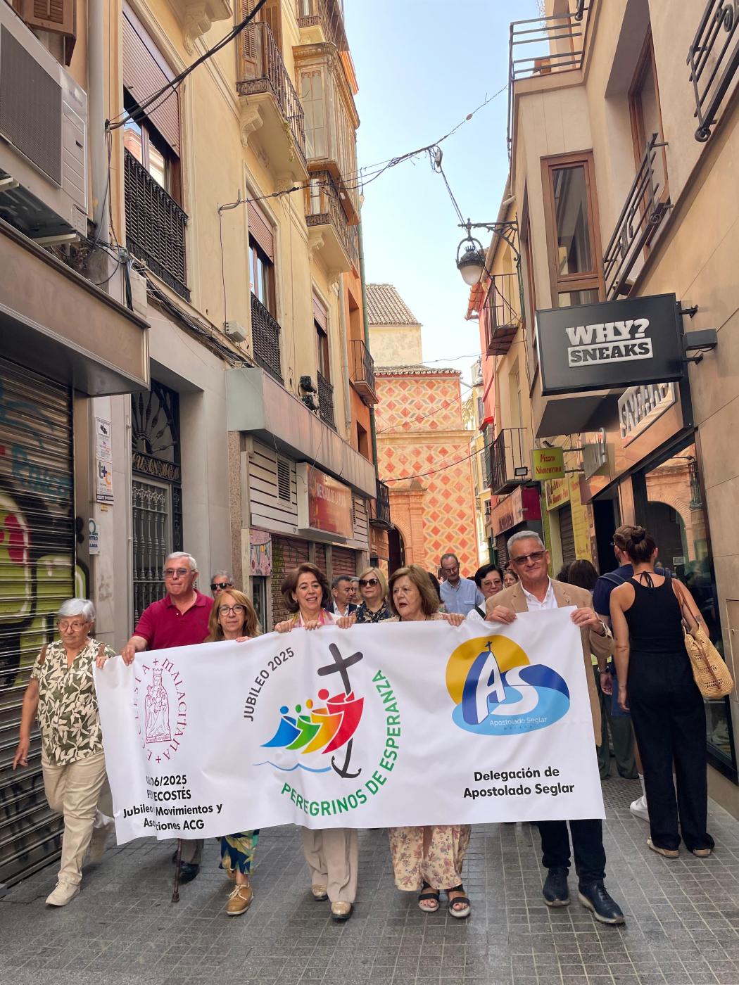 Los laicos peregrinaron juntos a la Catedral en Pentecostés
