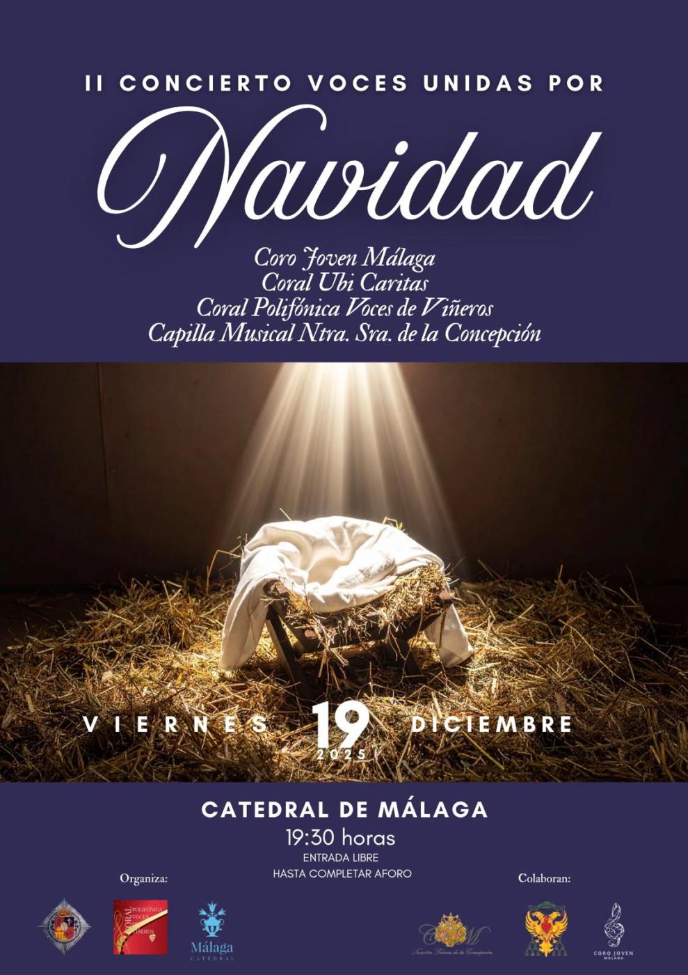 Cartel del concierto